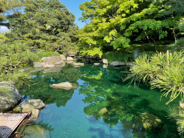 Japanese Garden