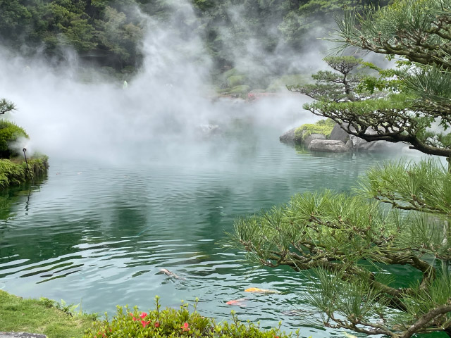 Japanese Garden